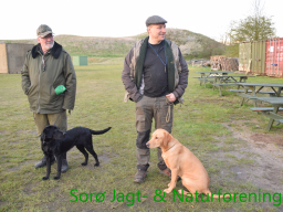 Hundetræning forår 2016